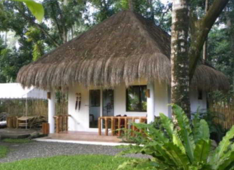 Pura Vida Beach & Dive Resort Dauin Bagian luar foto