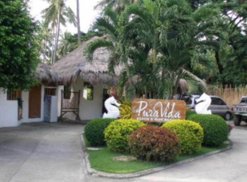 Pura Vida Beach & Dive Resort Dauin Bagian luar foto