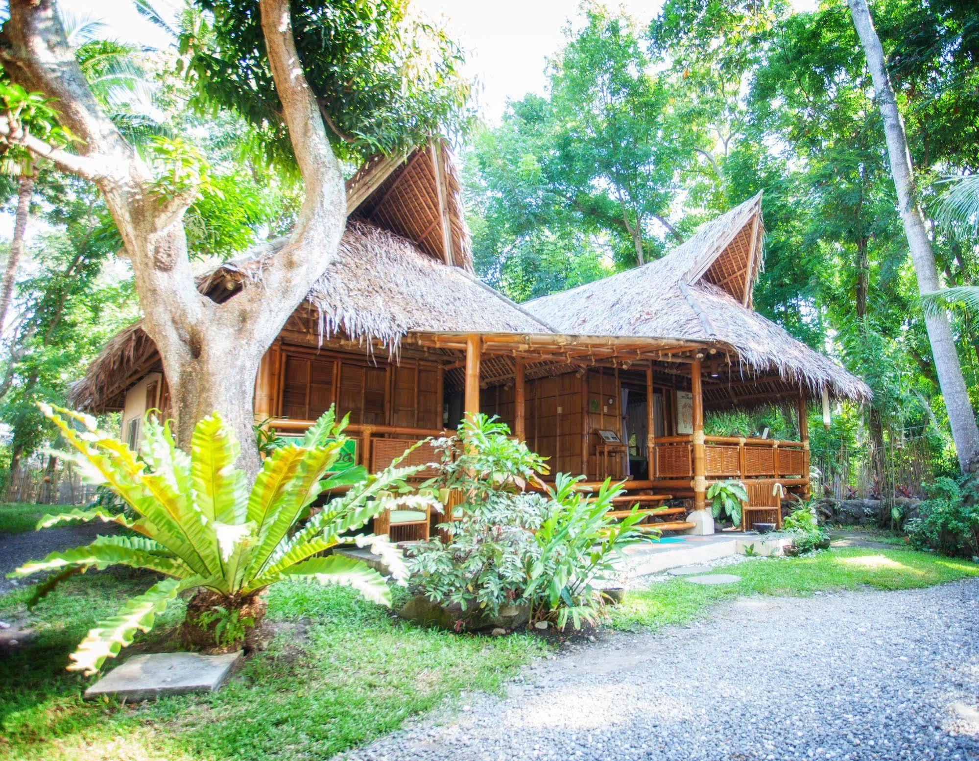 Pura Vida Beach & Dive Resort Dauin Bagian luar foto