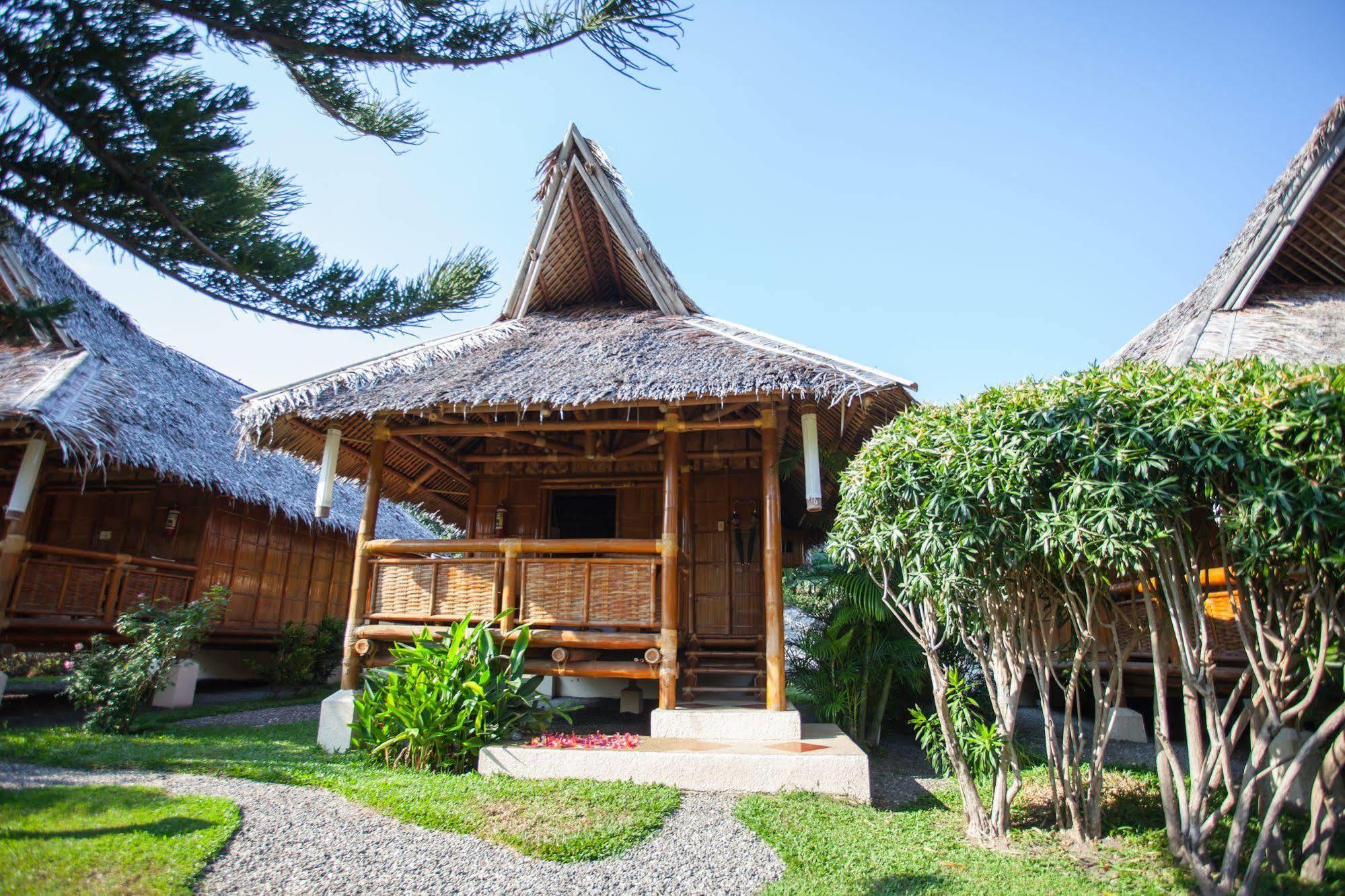 Pura Vida Beach & Dive Resort Dauin Bagian luar foto