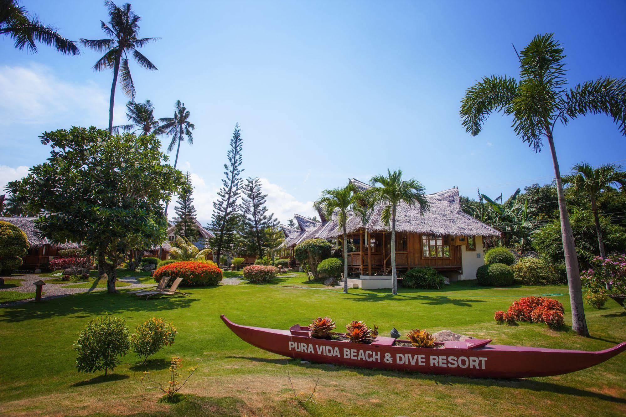 Pura Vida Beach & Dive Resort Dauin Bagian luar foto