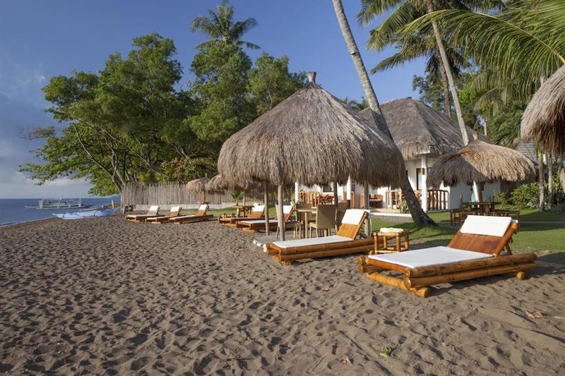 Pura Vida Beach & Dive Resort Dauin Bagian luar foto